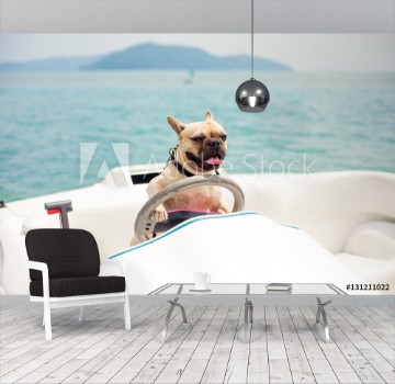 Picture of Funny French Bulldog dog is sitting behind the wheel of a speedboat put his paws on the steering wheel against the sea the carefree sunny summer day lighting effects speed boat